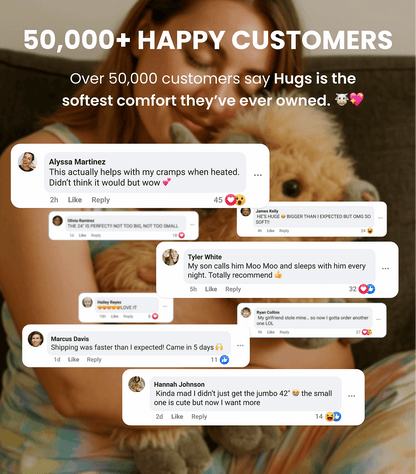 Weighted Highland Bull Pillow